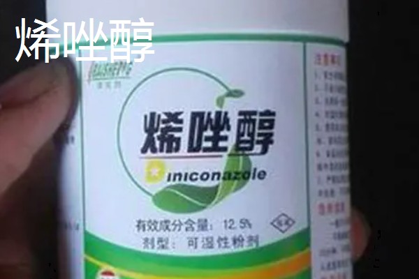 花生的种植时间，主要取决于种植地区的气候环境