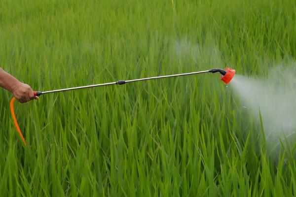 水稻的施肥量，各个时期的施肥量不同