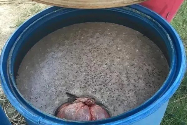 水肥发酵的种类，可以用蛋壳做水肥、淘米水做水肥等