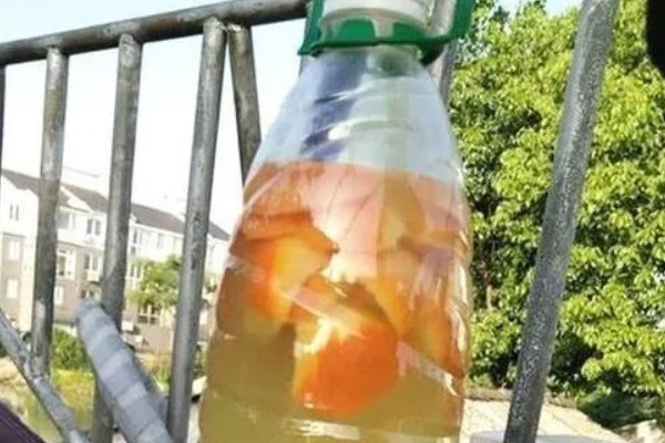 水肥发酵的种类，可以用蛋壳做水肥、淘米水做水肥等