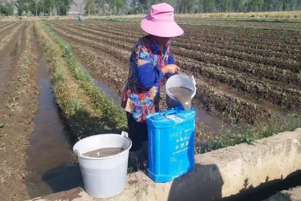 水肥发酵的种类，可以用蛋壳做水肥、淘米水做水肥等