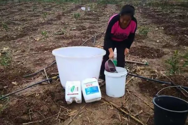 水肥发酵的种类，可以用蛋壳做水肥、淘米水做水肥等