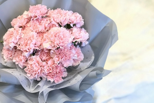 10支康乃馨的花语，花语是十全十美