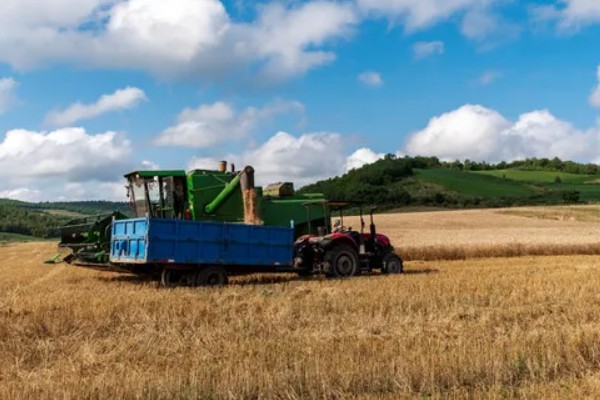 小麦收割的注意事项，作业时仔细观察联合收割机的输送情况