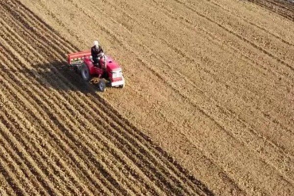 小麦条锈病怎么防治,首先要选择抗病品种