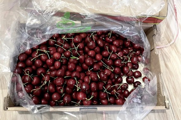 车厘子几月份成熟，成熟时间通常为5-6月