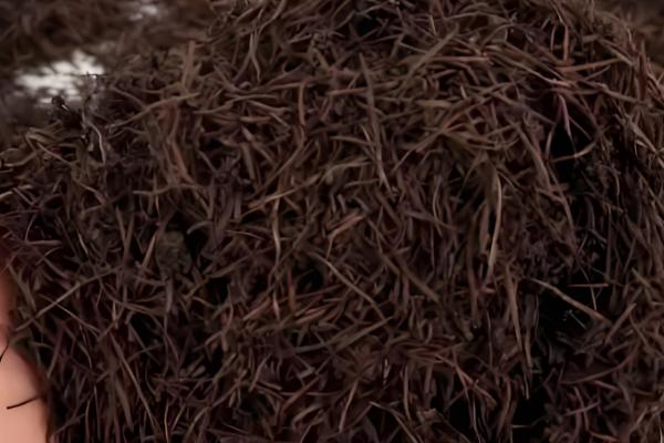 松针土不适合种哪些植物，不适合种石竹、玫瑰、天竺葵等