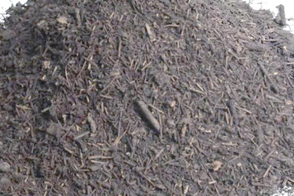 松针土不适合种哪些植物，不适合种石竹、玫瑰、天竺葵等