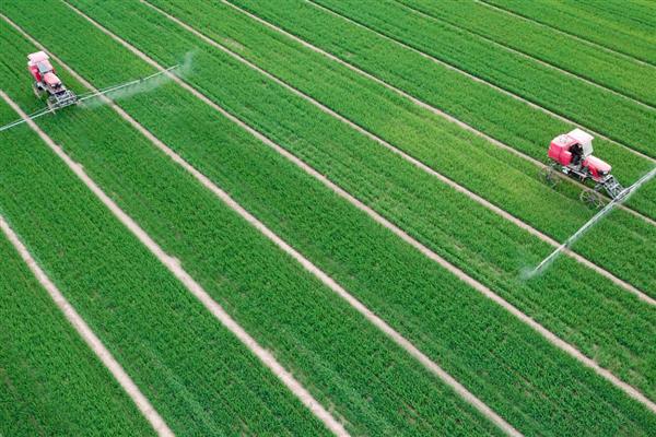 低碳农业有哪些特征，具有节约高效、优质环保等特点