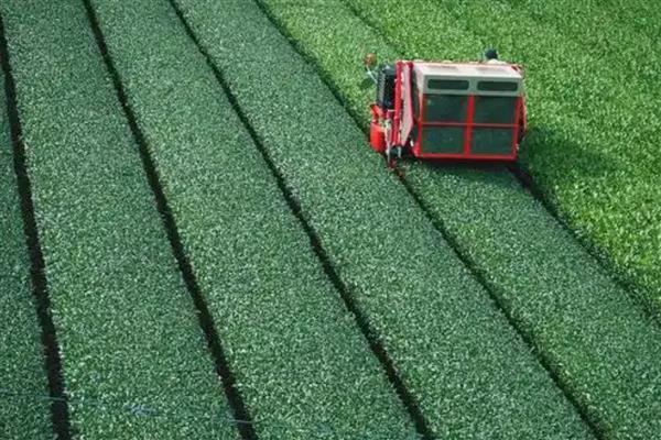 低碳农业有哪些特征，具有节约高效、优质环保等特点