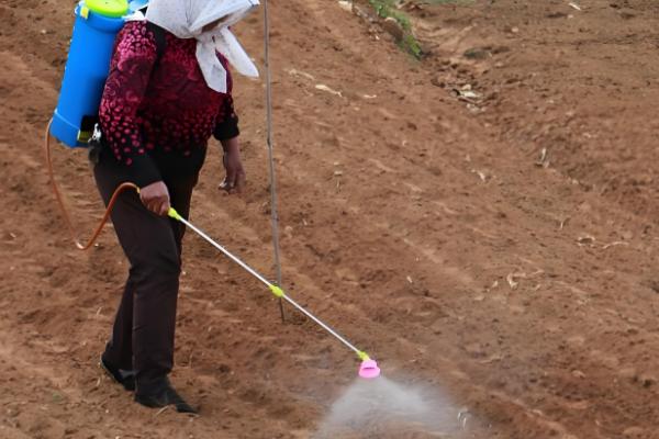 易保杀菌剂的作用是什么，有助于预防病原菌的发生