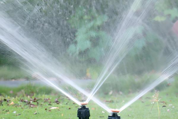 易保杀菌剂的作用是什么，有助于预防病原菌的发生