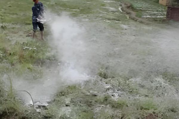 易保杀菌剂的作用是什么，有助于预防病原菌的发生