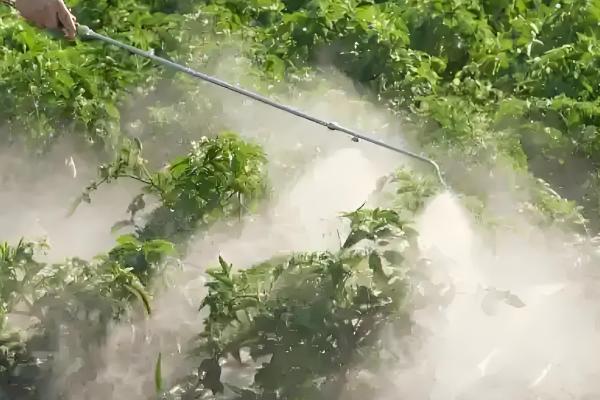 易保杀菌剂的作用是什么，有助于预防病原菌的发生