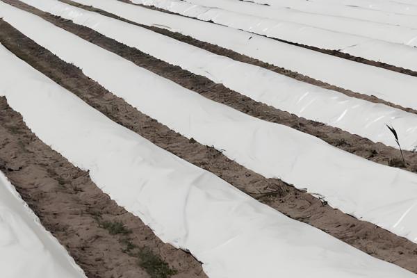 易保杀菌剂的作用是什么，有助于预防病原菌的发生