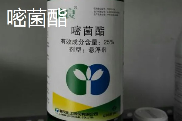 嘧菌酯与醚菌酯的区别,移动性、活性、作用机理不同