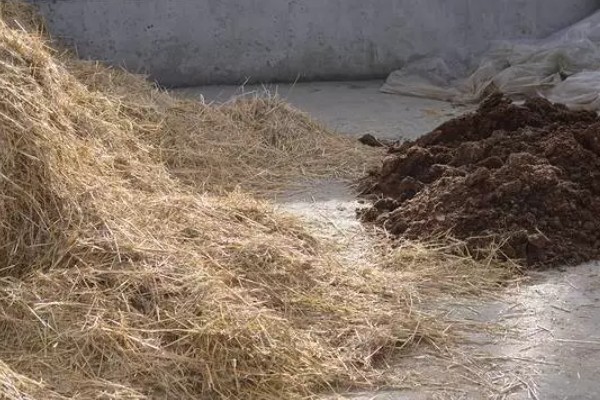 蘑菇如何种植，首先要准备好菇床