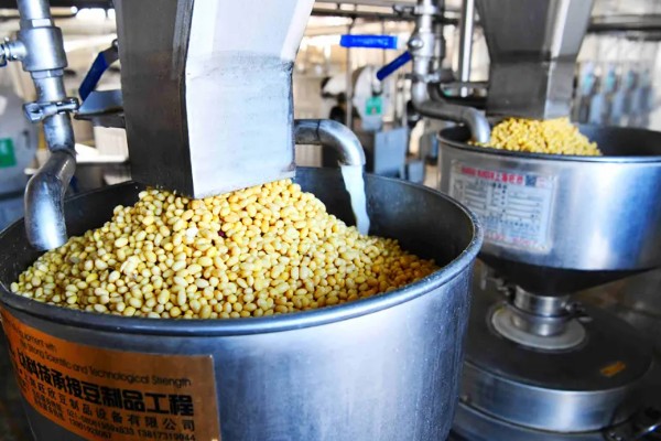 收藏大豆种子的禁忌,主要有以下4点