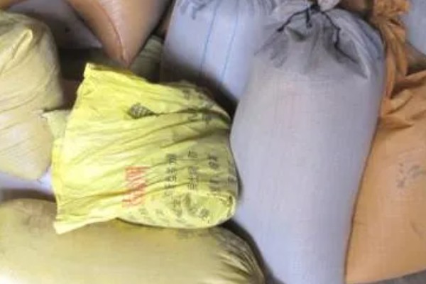 收藏大豆种子的禁忌,主要有以下4点