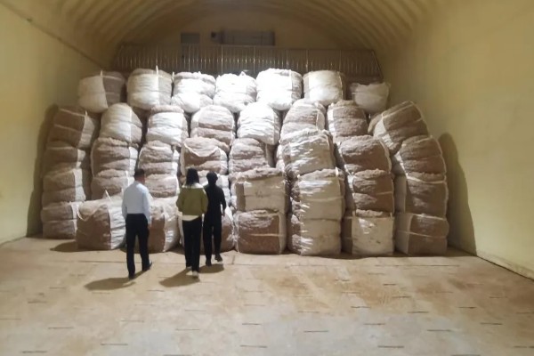 收藏大豆种子的禁忌,主要有以下4点