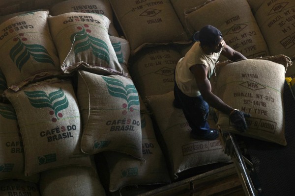 收藏大豆种子的禁忌,主要有以下4点