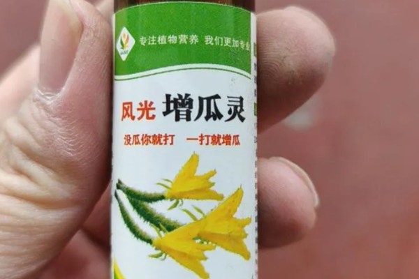 甜瓜增瓜灵什么时候喷,通常在长出3-4片真叶时使用