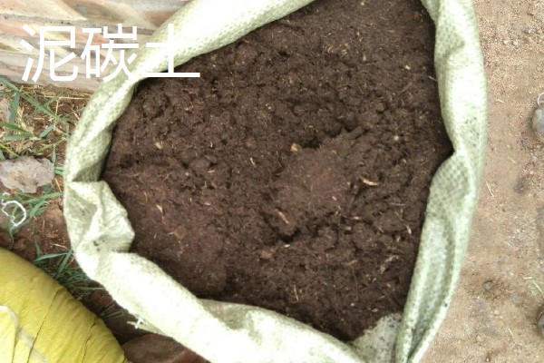 耐高温的多肉植物，常见的有秀妍、橙梦露等