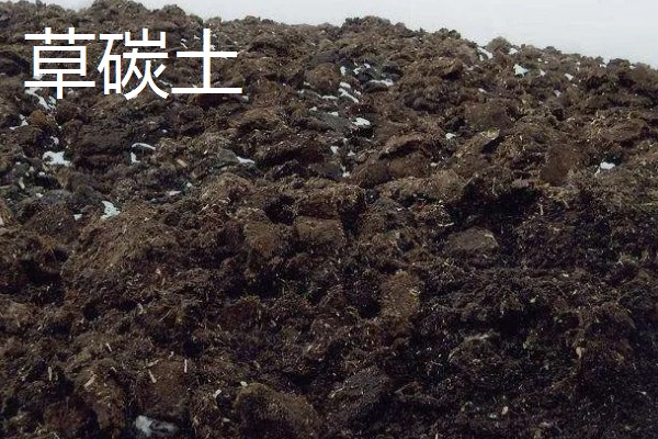 耐高温的多肉植物，常见的有秀妍、橙梦露等