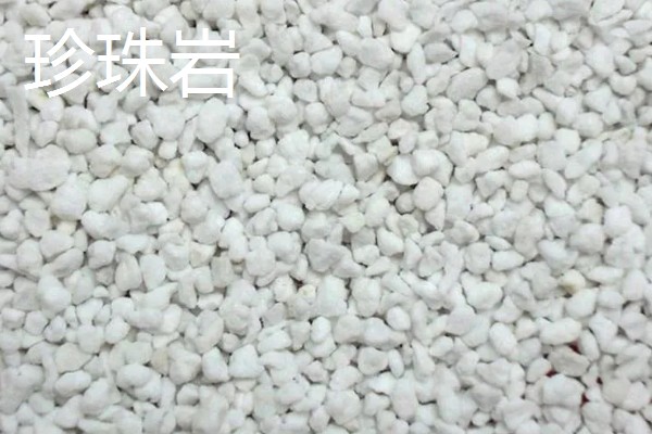 耐高温的多肉植物，常见的有秀妍、橙梦露等