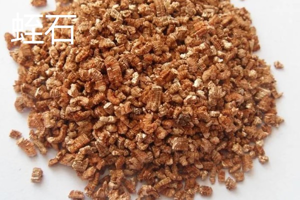 耐高温的多肉植物，常见的有秀妍、橙梦露等