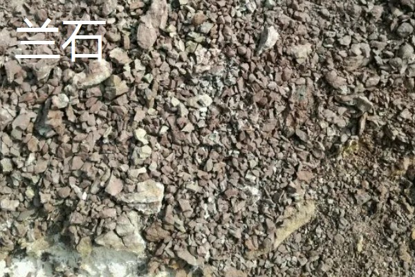 耐高温的多肉植物，常见的有秀妍、橙梦露等