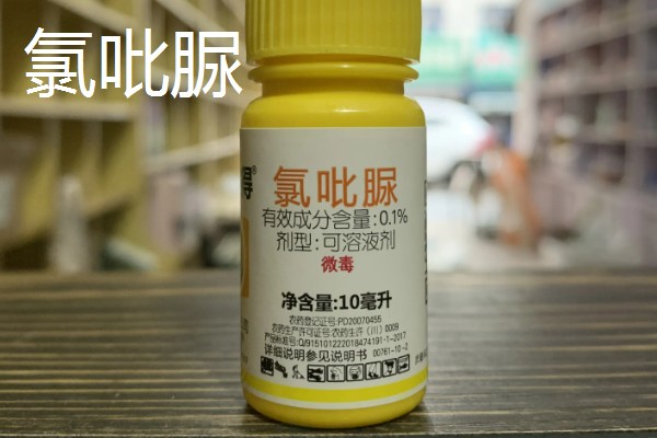 芋头打膨大素的时间,种植后60-70天左右喷施膨大素