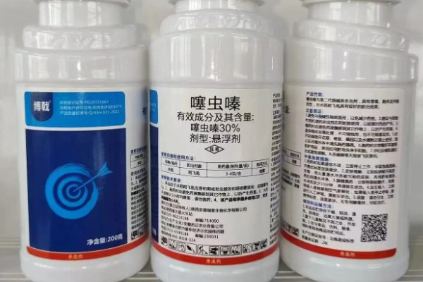 蓟马的危害特征，嫩叶受害后使叶片变薄