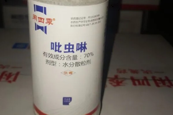 蓟马的危害特征，嫩叶受害后使叶片变薄