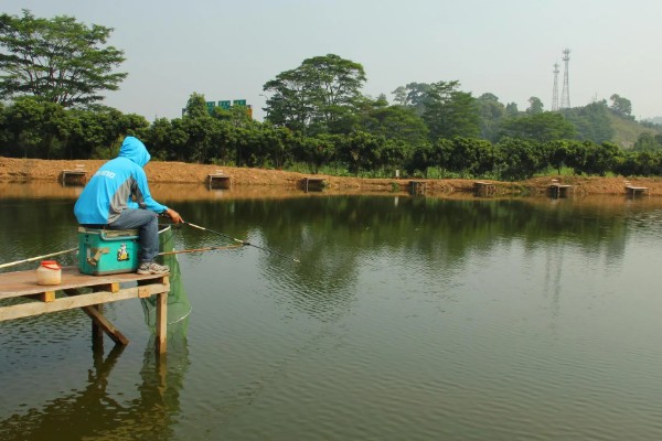 黑坑偷驴的技巧，饵料可以用散炮