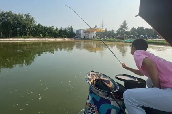 黑坑偷驴的技巧，饵料可以用散炮
