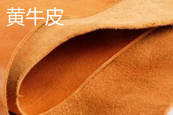 黄牛皮和水牛皮的区别,表皮毛孔和手感均不同