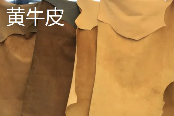 黄牛皮和水牛皮的区别,表皮毛孔和手感均不同