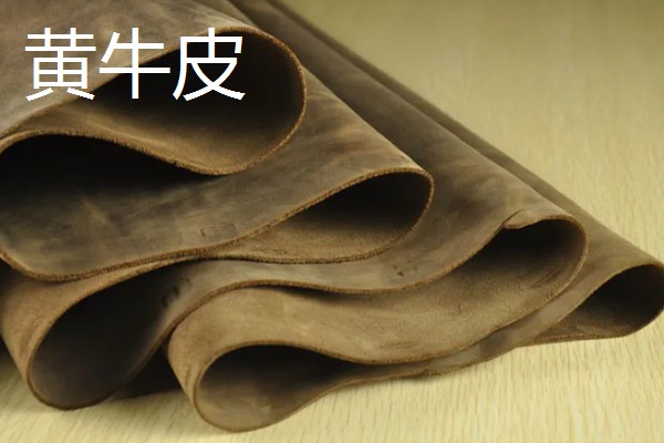 黄牛皮和水牛皮的区别,表皮毛孔和手感均不同