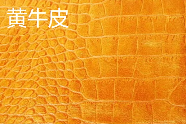 黄牛皮和水牛皮的区别,表皮毛孔和手感均不同