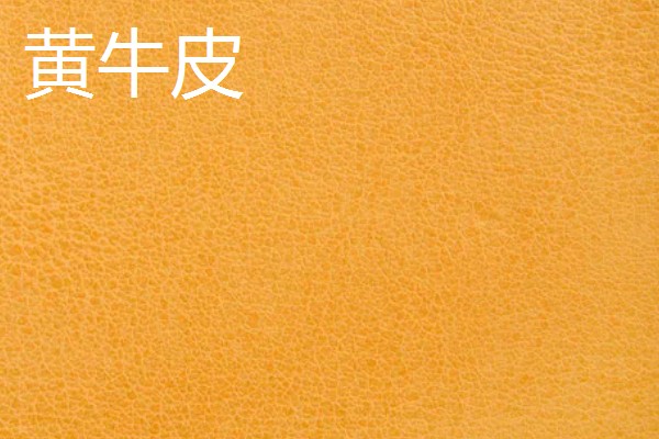 黄牛皮和水牛皮的区别,表皮毛孔和手感均不同