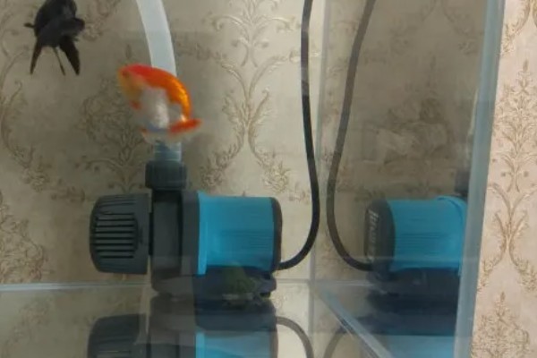 怎样使潜水泵变增氧泵,在出水口处安装一个壳型铁板