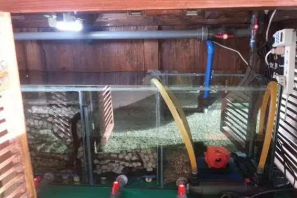 怎样使潜水泵变增氧泵,在出水口处安装一个壳型铁板