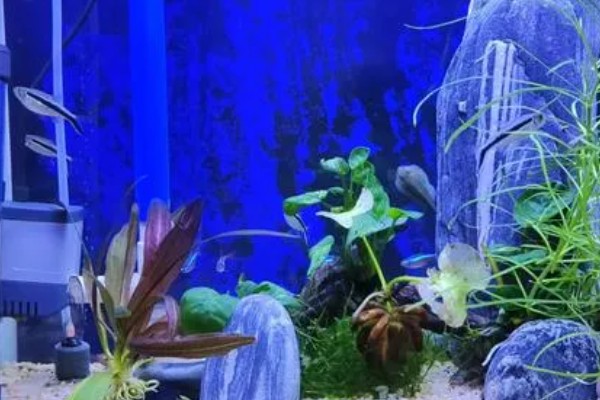 怎样使潜水泵变增氧泵,在出水口处安装一个壳型铁板