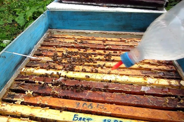 蜂箱有蚂蚁如何解决,洗净晒干可重新使用