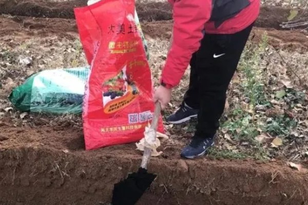 几月份种土豆好，一般在4月中下旬到5月初进行播种