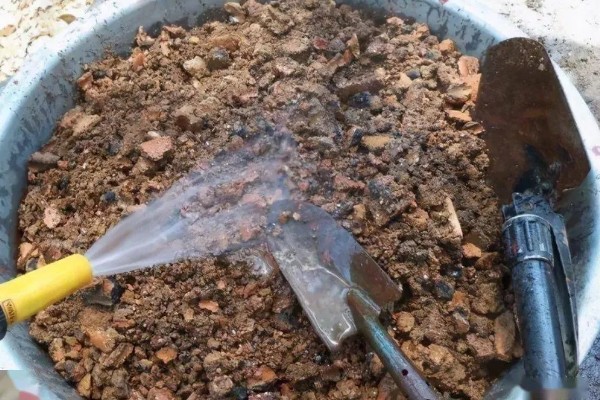 南长滩梨树的开花时间，花期一般是4月份