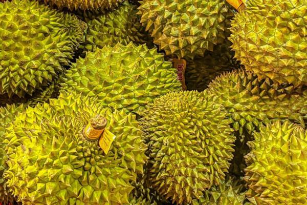 水果之王是什么水果，是指苹果、猕猴桃等