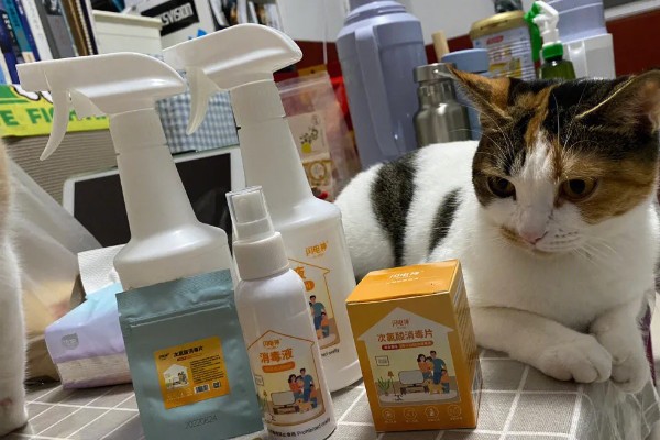 预防猫癣的方法，注意对猫咪的用品和用具消毒