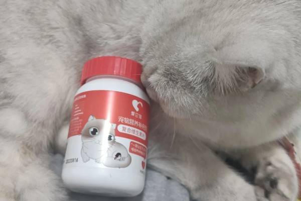 预防猫癣的方法，注意对猫咪的用品和用具消毒